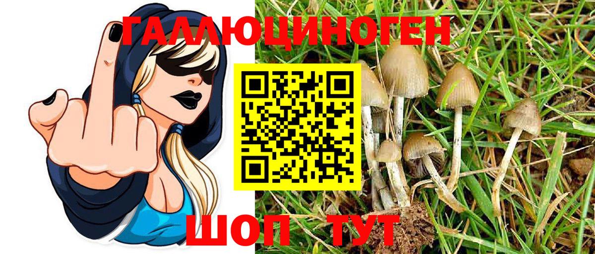 Галлюциногенные грибы ЛСД  Галлюциногенные грибы MAGIC MUSHROOMS  Вход с VPN  Иваново 