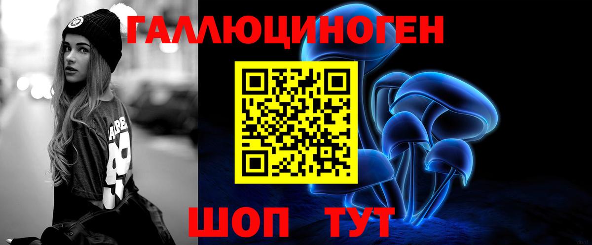 Галлюциногенные грибы Psilocybe Иваново